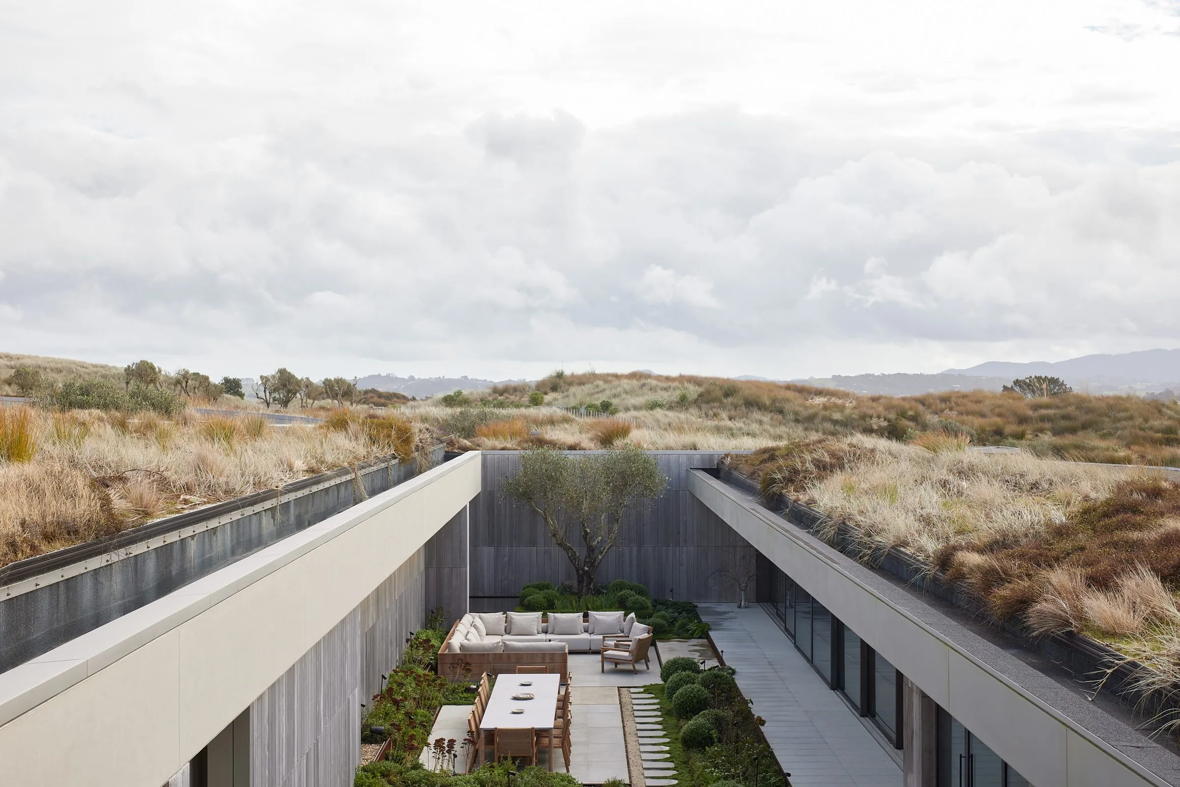 Garden designed by Suzanne Turley Landscapes