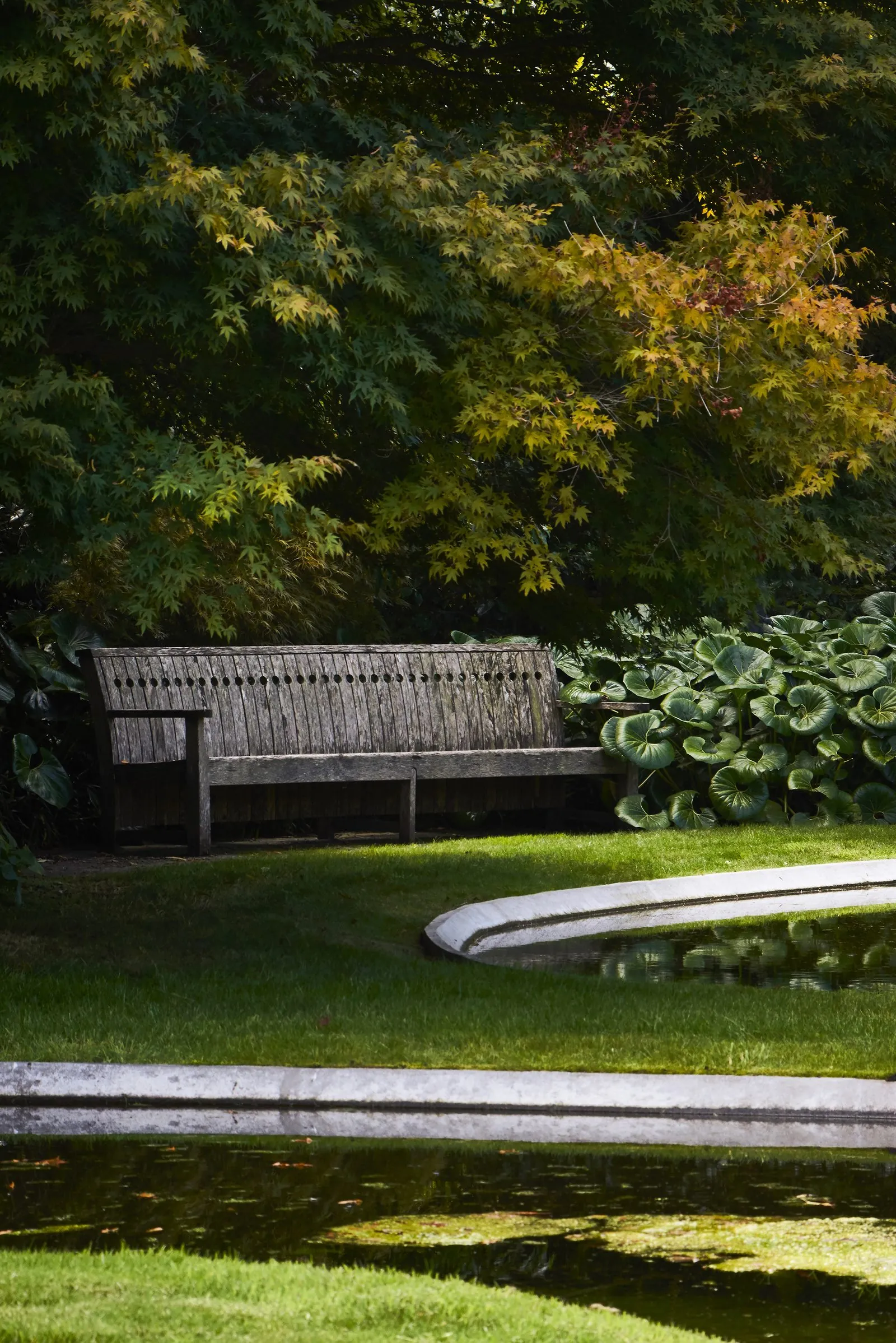 Garden designed by Suzanne Turley Landscapes