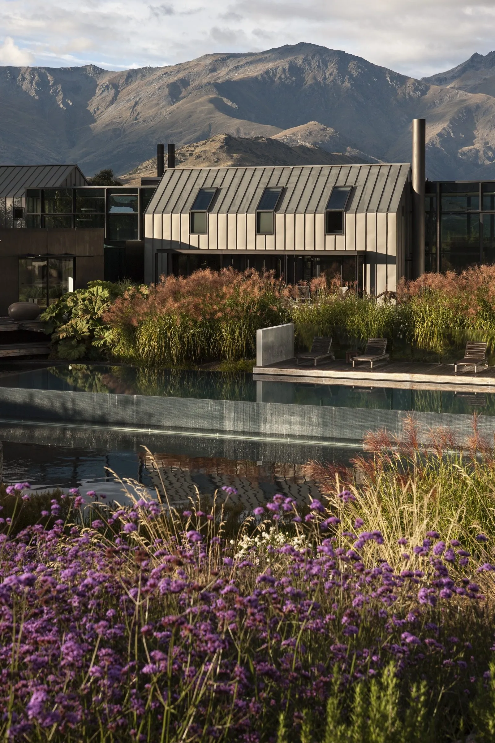 Garden designed by Suzanne Turley Landscapes